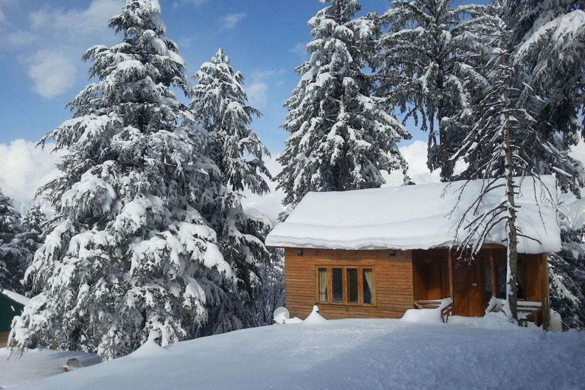 Arcadian Sprucewoods Ξενοδοχείο Shogran Εξωτερικό φωτογραφία